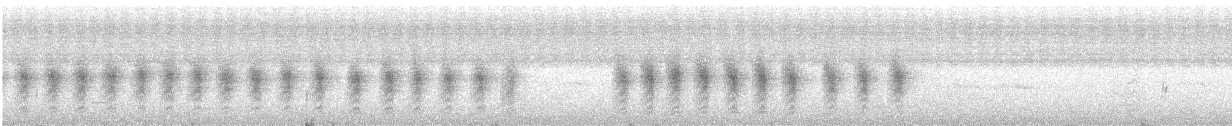 Vireo Plomizo (notius/montanus) - ML482897791