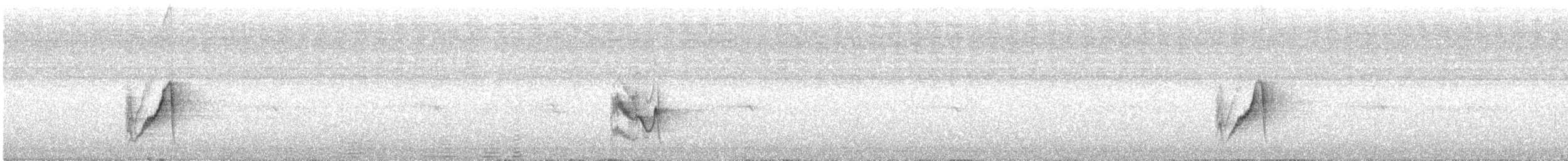 Vireo Plomizo (notius/montanus) - ML482897831