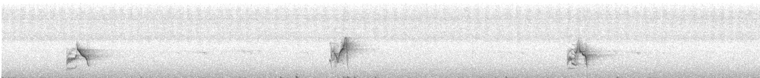 Kurşuni Vireo (notius/montanus) - ML482897861
