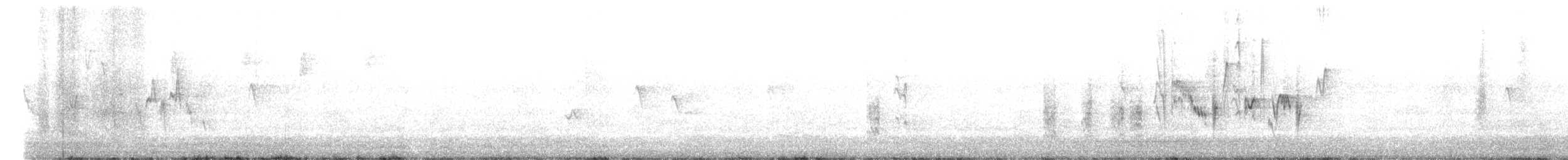 Northern House Wren - ML482932611