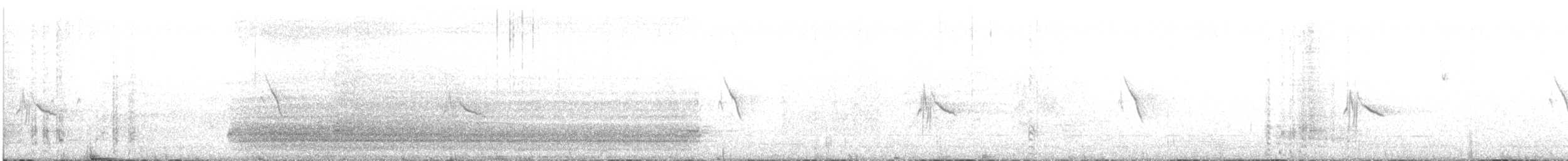 Pipit à long bec (chyuluensis) - ML482936261