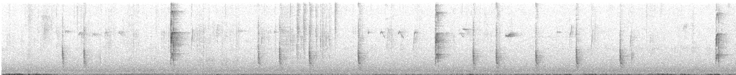 strakapoud proužkohřbetý - ML482969021