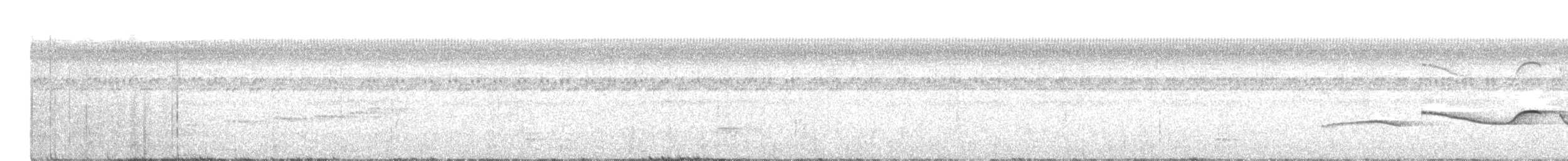サンロクツグミマイコドリ - ML482995301