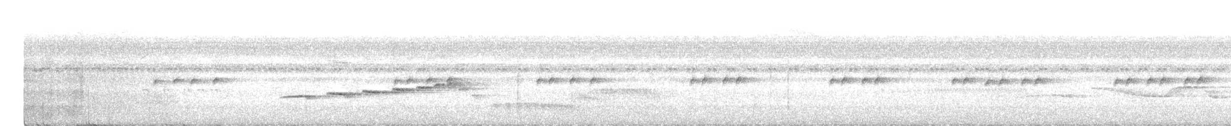 nordkastanjemaurfugl - ML482995751