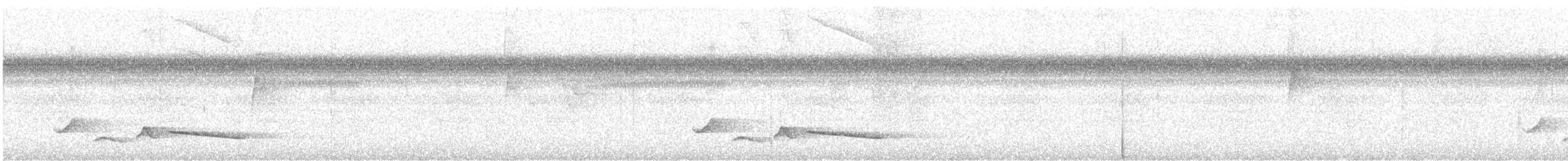 Зернолуск білогорлий - ML483009821