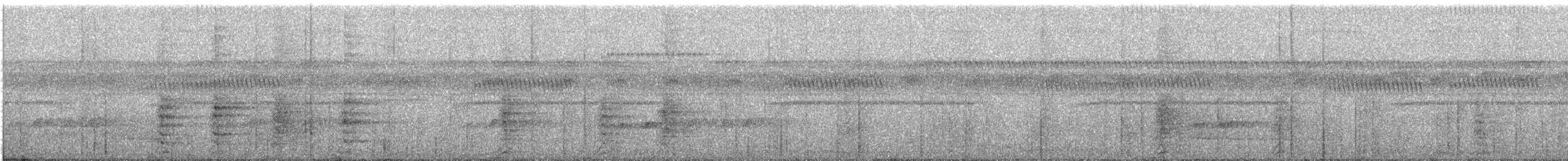 gråvingetrompetfugl - ML483169711