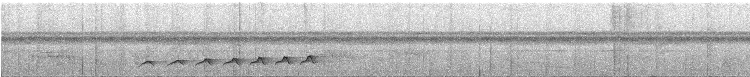 Stummelschwanz-Ameisenvogel - ML483169791
