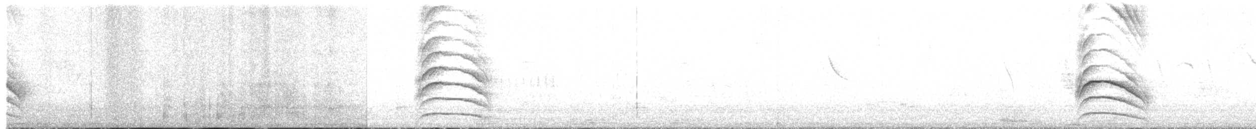 Büyük Kiskadi Tiranı - ML483308281