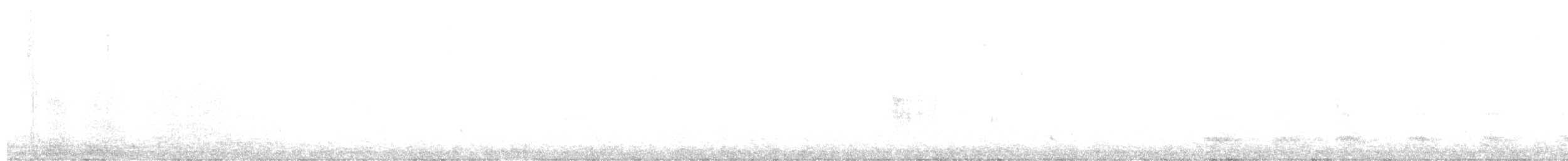 Канадская овсянка-барсучок (subvirgata) - ML483325301