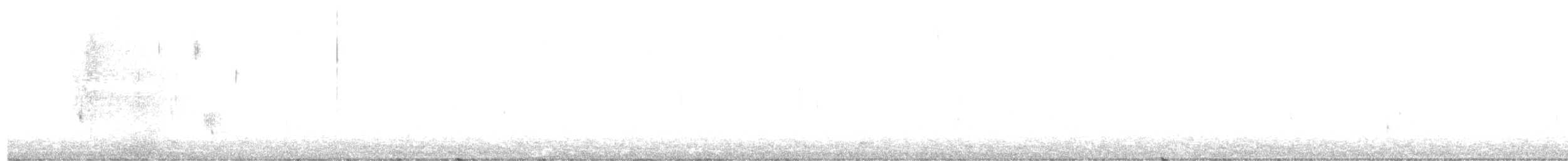 Багновець блідий (підвид subvirgata) - ML483325311