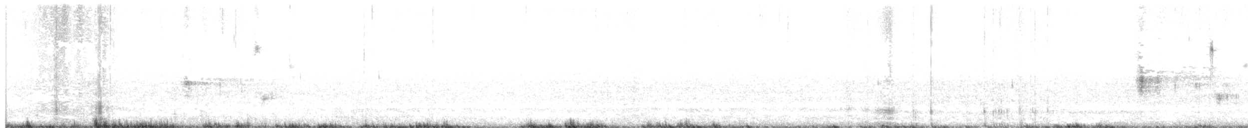 Chingolo de Nelson (subvirgatus) - ML483325571