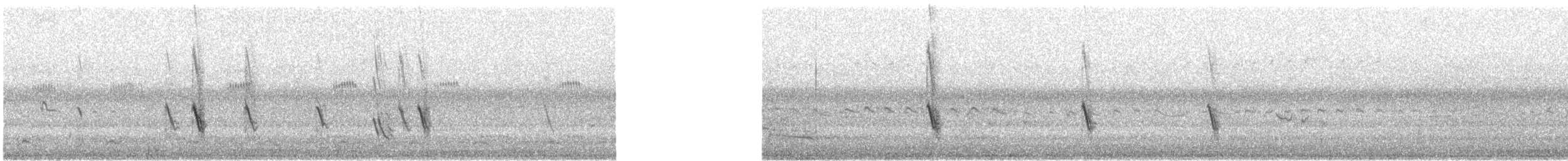 ムラサキツバメ - ML483325801