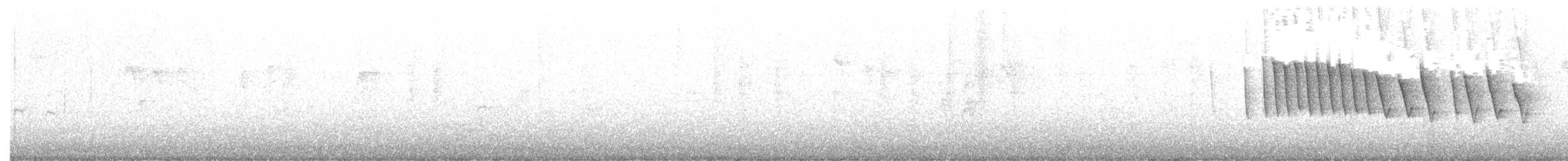 Paruline verdâtre - ML483334721