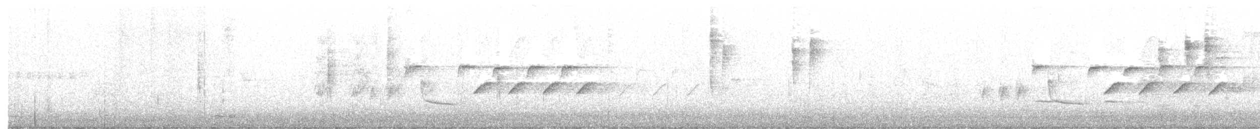 Wilson's Warbler - ML483334781