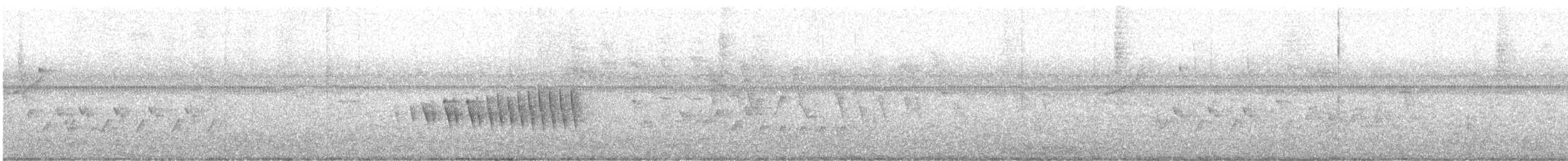 キタホオジロヒメウソ - ML483357161