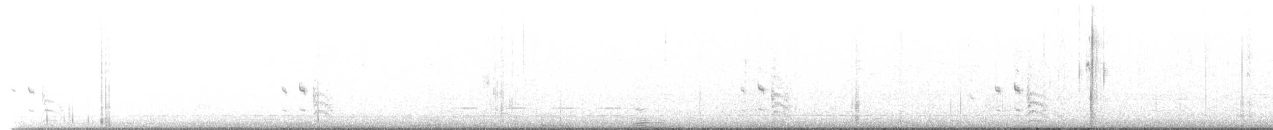 Шиферный коростелёк (jamaicensis/coturniculus) - ML483452791