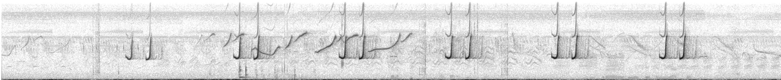 Codorniz Coromandélica - ML483459551