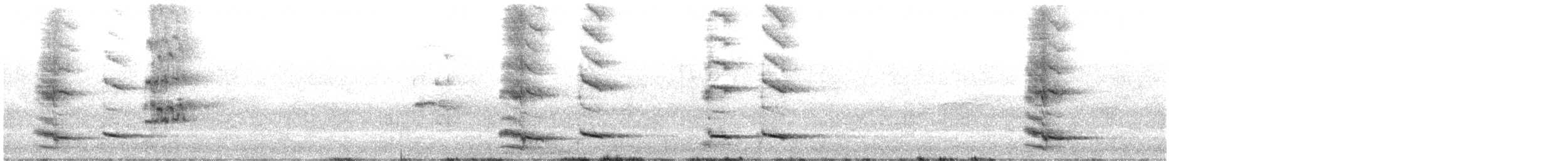 Flötenkrähenstar (telonocua/tyrannica) - ML483460541