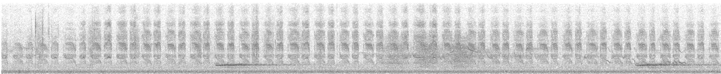 Chupasavia Oscuro - ML48346561