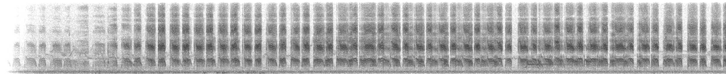 Chupasavia Oscuro - ML48346581