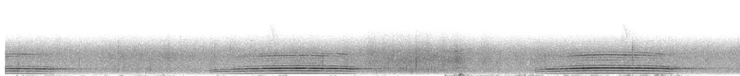 Трагопан сірогрудий - ML483474961