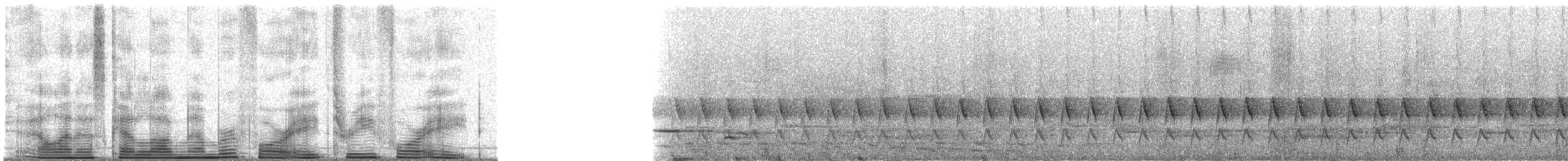 Mouse-colored Tapaculo - ML48348