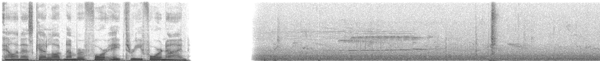 Rufous Gnateater - ML48349