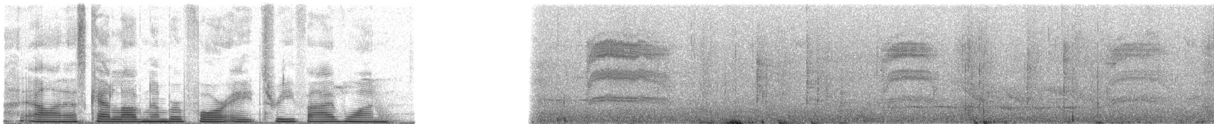 エボシオビロアリモズ - ML48351