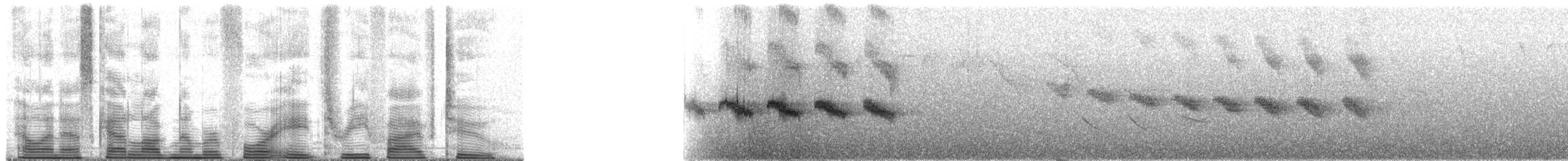 Star-throated Antwren - ML48352