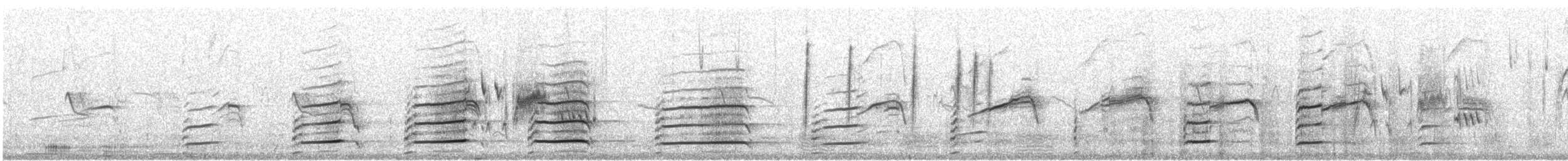 Itsas arrano buruzuria - ML483546271