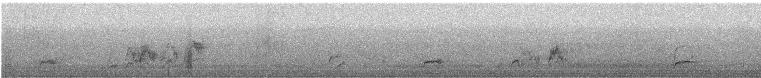 brunkinnskogtrost (ustulatus gr.) - ML483549621