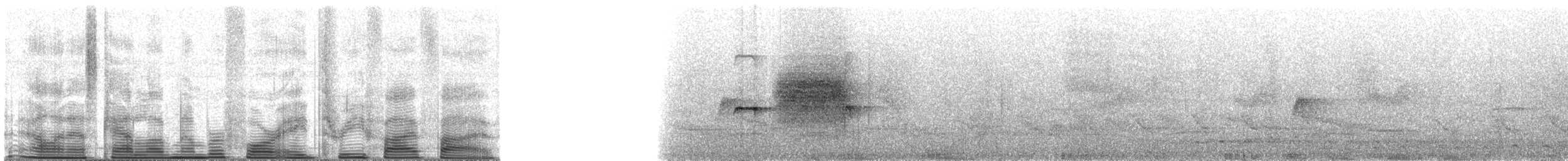 Ochre-rumped Antbird - ML48355