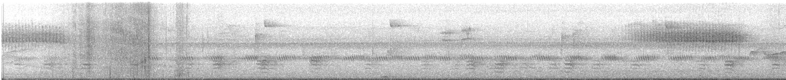 åmeparula - ML483552961