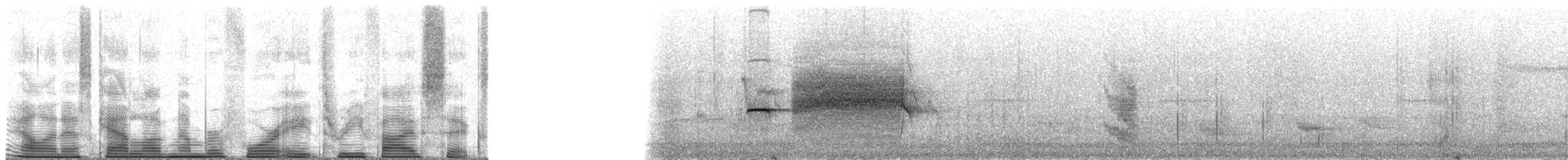 キゴシオナガアリドリ - ML48356