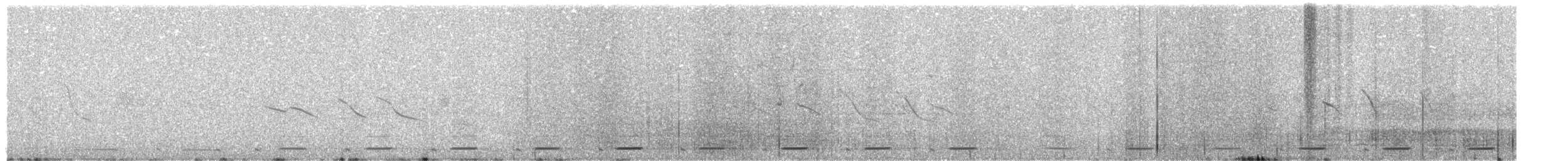 Gray-breasted Seedsnipe - ML483561421