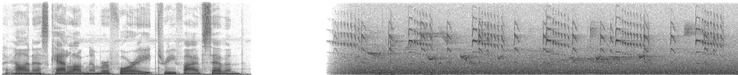 Brazilian Ruby - ML48357