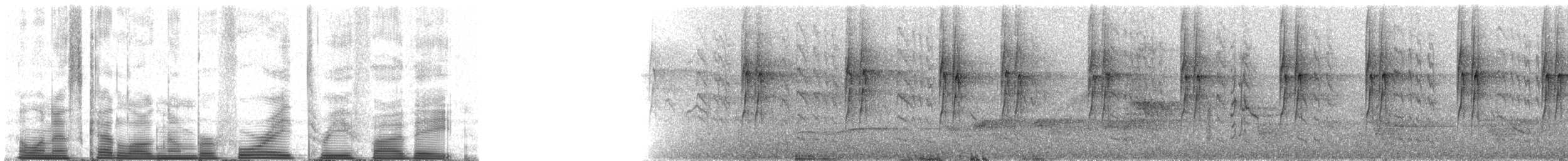 Pallid Spinetail - ML48358