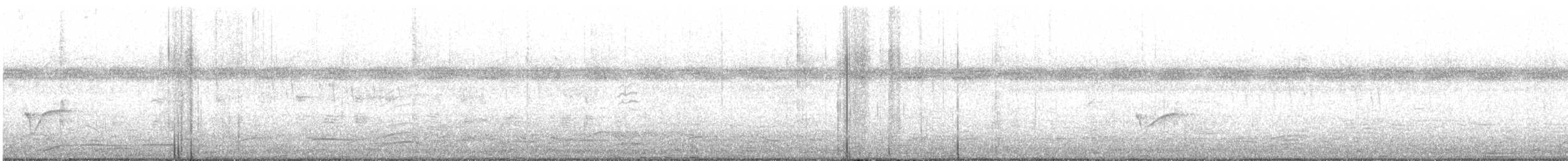 Semipalmated Plover - ML483587061
