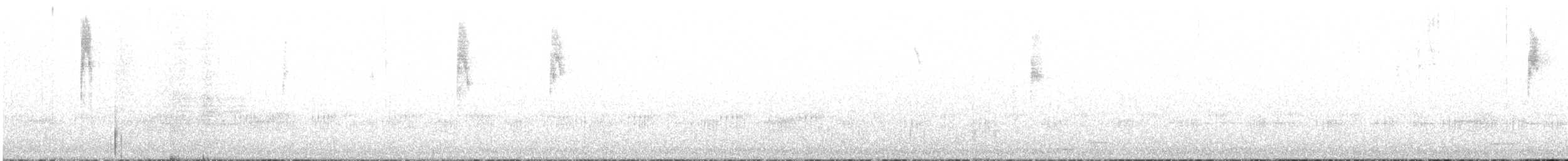 Superb Fairywren - ML483603511