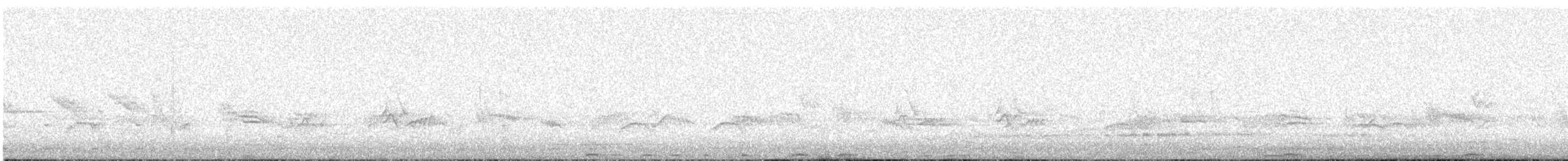 Merle austral (magellanicus/pembertoni) - ML483611971