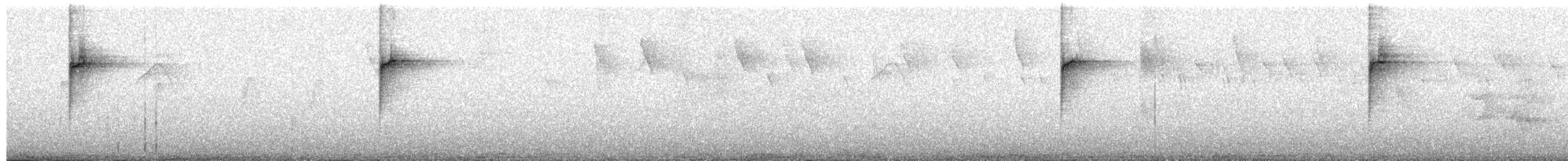 White-browed Warbler - ML483613691