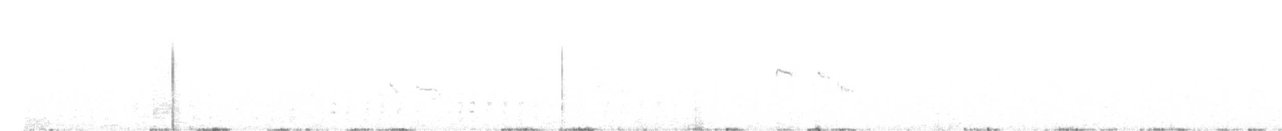 Grauscheitel-Kleintyrann - ML483626311