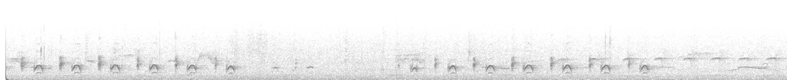オナガクロアリドリ - ML483627051