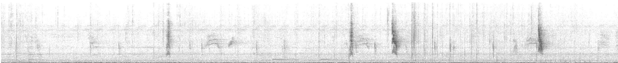 クロオビミツスイ - ML483631521