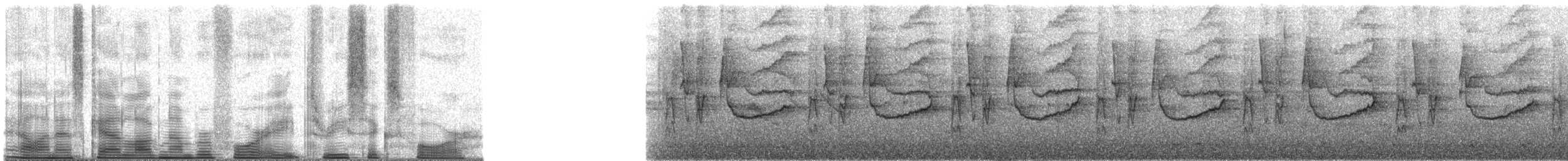 Magpie Tanager - ML48364