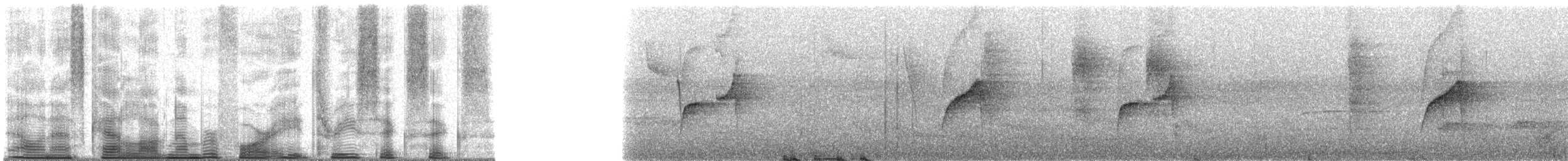 Gray-bellied Spinetail - ML48366