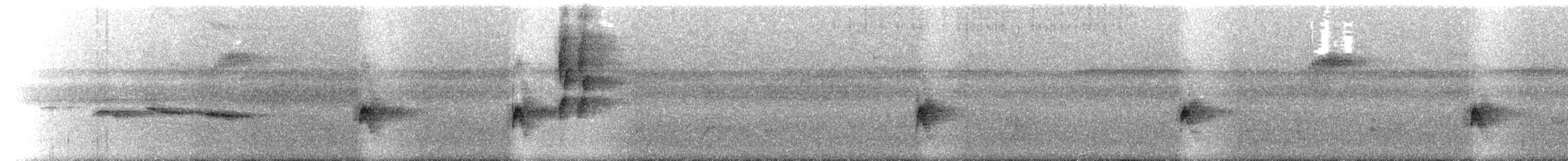 Boz Kanatlı Karıncakuşu - ML483667161