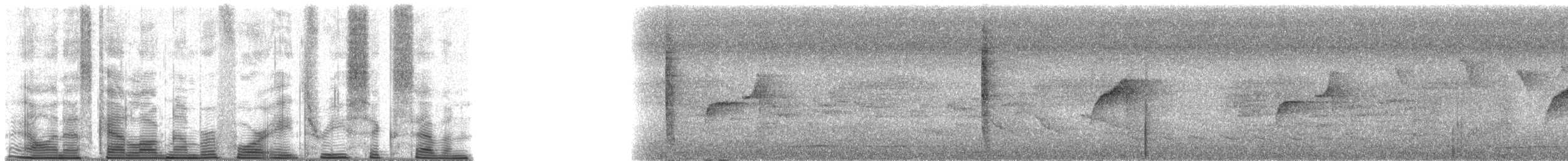 アカアリサザイ - ML48367