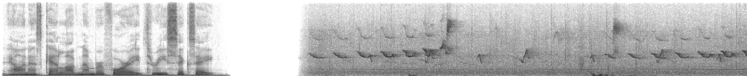 アカアリサザイ - ML48368