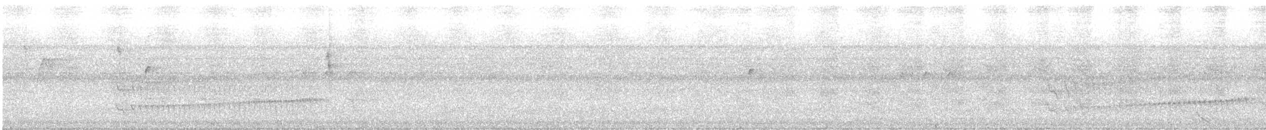 Todirostre de Joao - ML483682781